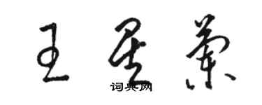 駱恆光王星蘭草書個性簽名怎么寫