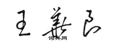 駱恆光王華良草書個性簽名怎么寫