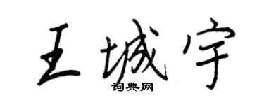 王正良王城宇行書個性簽名怎么寫