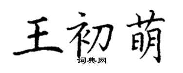 丁謙王初萌楷書個性簽名怎么寫