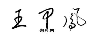 梁錦英王甲鳳草書個性簽名怎么寫