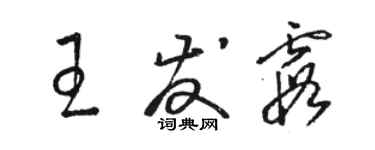 駱恆光王發霞草書個性簽名怎么寫