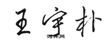 駱恆光王宇朴行書個性簽名怎么寫