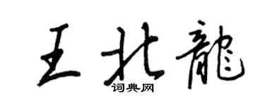 王正良王北龍行書個性簽名怎么寫