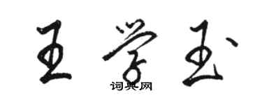 駱恆光王學玉行書個性簽名怎么寫