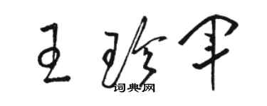 駱恆光王珍軍草書個性簽名怎么寫
