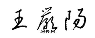 梁錦英王嚴陽草書個性簽名怎么寫