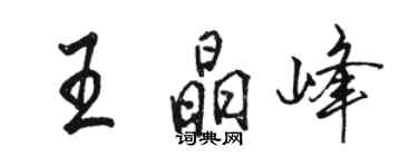 駱恆光王晶峰行書個性簽名怎么寫