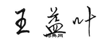 駱恆光王益葉行書個性簽名怎么寫