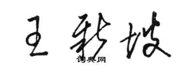 駱恆光王新坡草書個性簽名怎么寫