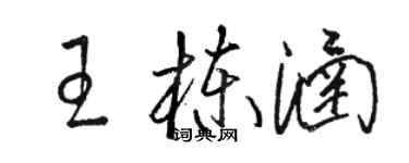 駱恆光王棟涵草書個性簽名怎么寫