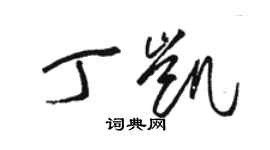 駱恆光丁凱草書個性簽名怎么寫