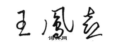 駱恆光王鳳喜草書個性簽名怎么寫