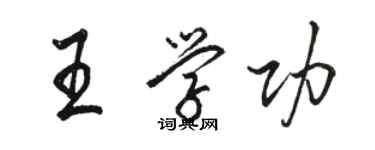 駱恆光王學功行書個性簽名怎么寫