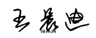 朱錫榮王晨迪草書個性簽名怎么寫