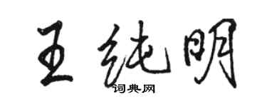 駱恆光王純明行書個性簽名怎么寫