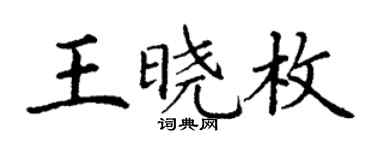 丁謙王曉枚楷書個性簽名怎么寫