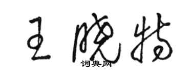 駱恆光王曉特草書個性簽名怎么寫