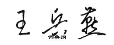 駱恆光王兵燕草書個性簽名怎么寫