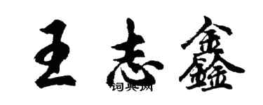 胡問遂王志鑫行書個性簽名怎么寫