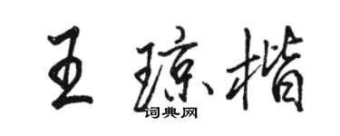 駱恆光王瓊楷行書個性簽名怎么寫