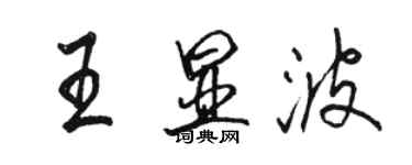 駱恆光王顯波行書個性簽名怎么寫