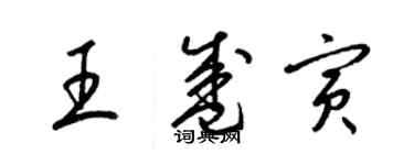 梁錦英王盛寅草書個性簽名怎么寫