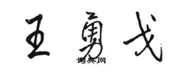 駱恆光王勇戈行書個性簽名怎么寫