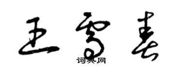 曾慶福王雪春草書個性簽名怎么寫