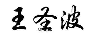 胡問遂王聖波行書個性簽名怎么寫