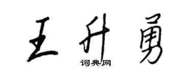 王正良王升勇行書個性簽名怎么寫