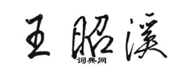 駱恆光王昭溪行書個性簽名怎么寫