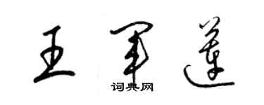 梁錦英王軍蓮草書個性簽名怎么寫