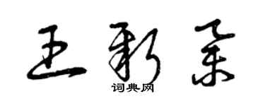 曾慶福王新舉草書個性簽名怎么寫