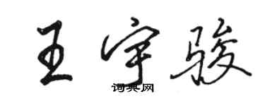 駱恆光王宇駿行書個性簽名怎么寫