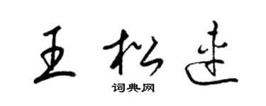 梁錦英王松連草書個性簽名怎么寫