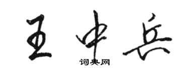 駱恆光王中兵行書個性簽名怎么寫