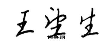 王正良王望生行書個性簽名怎么寫