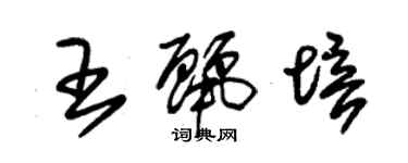 朱錫榮王麗培草書個性簽名怎么寫