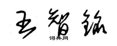 朱錫榮王智銘草書個性簽名怎么寫