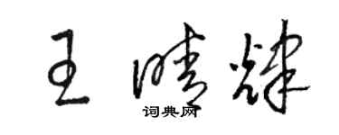 駱恆光王晴輝草書個性簽名怎么寫