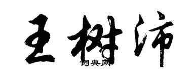 胡問遂王樹沛行書個性簽名怎么寫