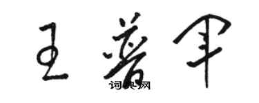 駱恆光王普軍草書個性簽名怎么寫