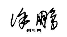 朱錫榮徐鵬草書個性簽名怎么寫