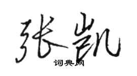 駱恆光張凱行書個性簽名怎么寫