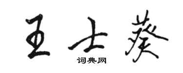 駱恆光王士葵行書個性簽名怎么寫