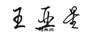 駱恆光王亞星行書個性簽名怎么寫