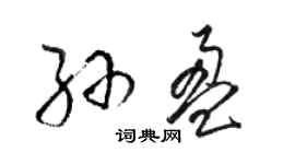 駱恆光孫盈草書個性簽名怎么寫