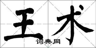 翁闓運王術楷書怎么寫