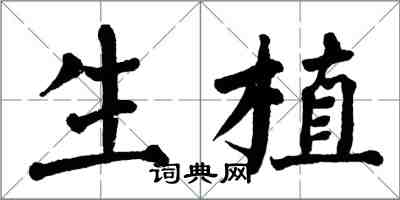 翁闓運生植楷書怎么寫